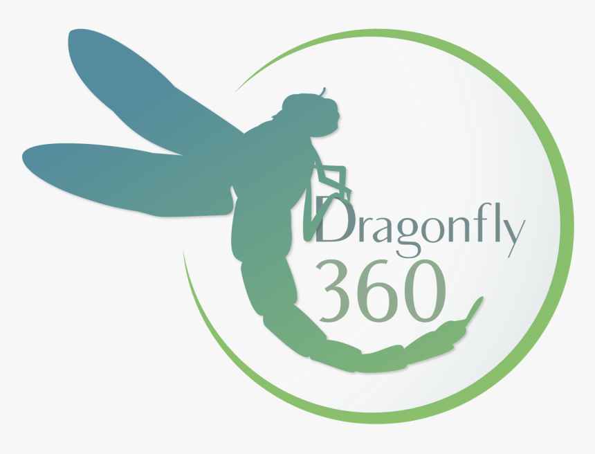 Logo Design By Quortex Design For This Project - Dragonflies And Damseflies, HD Png Download, Free Download