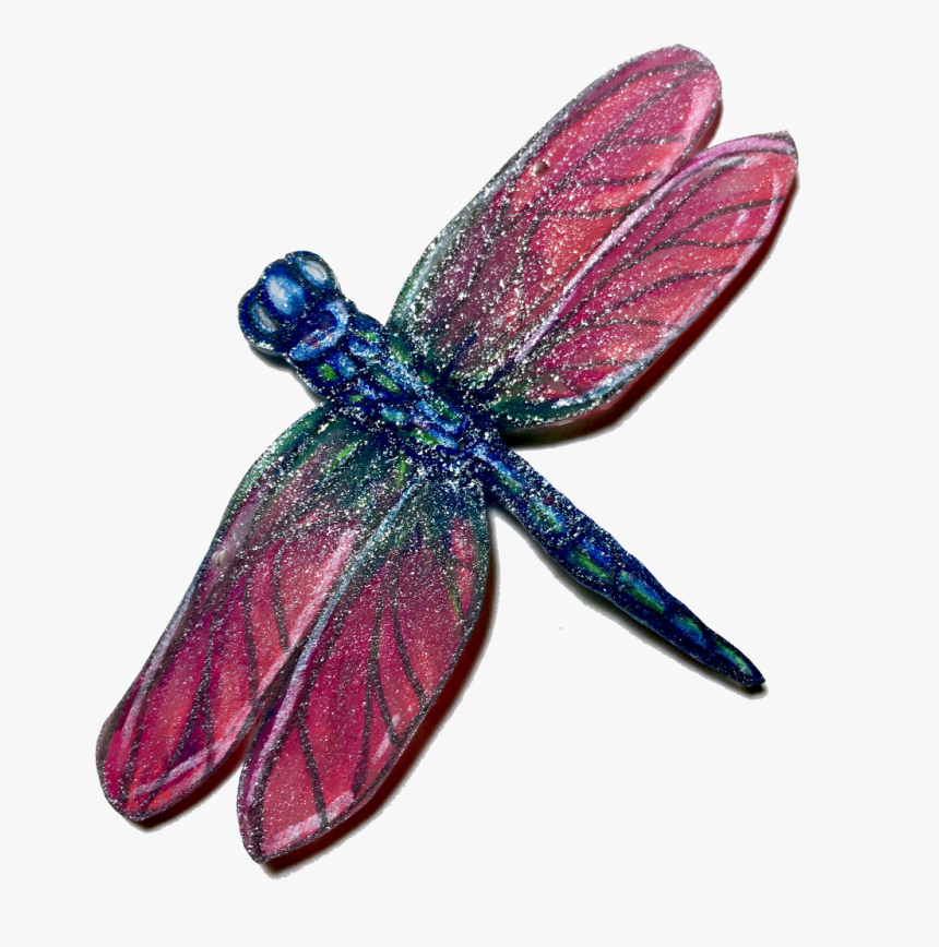 Dragonfly, HD Png Download, Free Download