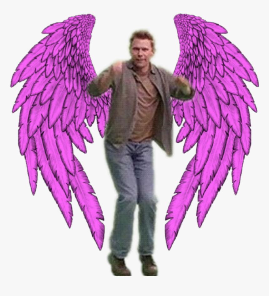 Luci And His Pink Wings - Realistic Angel Wings Drawing, HD Png Download, Free Download