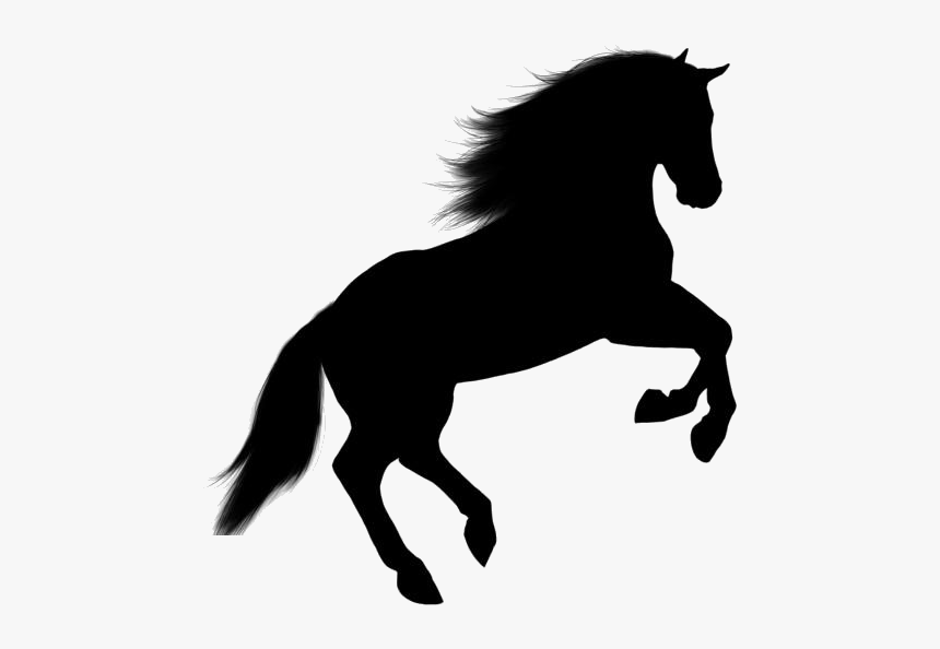 Wild Horse Jumping Silhouette Png - Transparent Background Horse Png, Png Download, Free Download