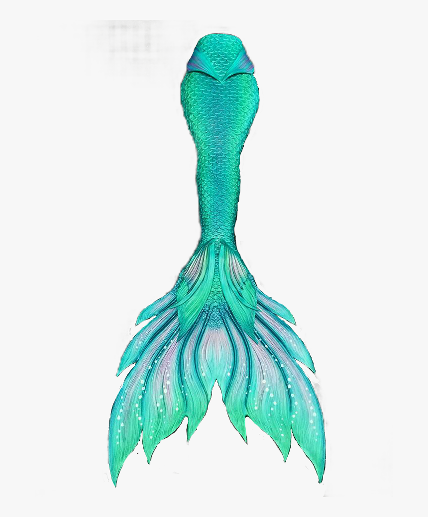 Finfolk Mermaid Tail , Transparent Cartoons - Mermaid Tail Finfolk, HD Png Download, Free Download