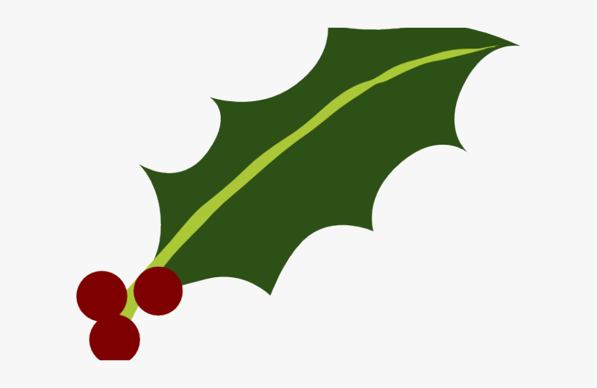 Holly Leaf Vector Png, Transparent Png, Free Download