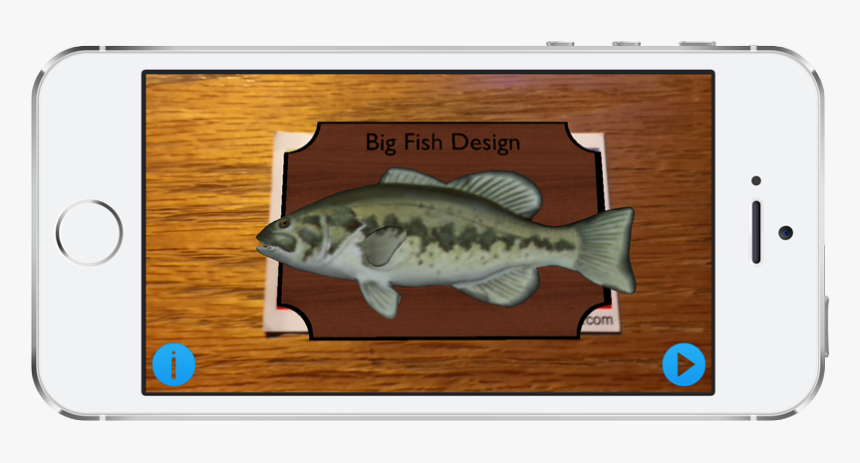 Bass, HD Png Download, Free Download