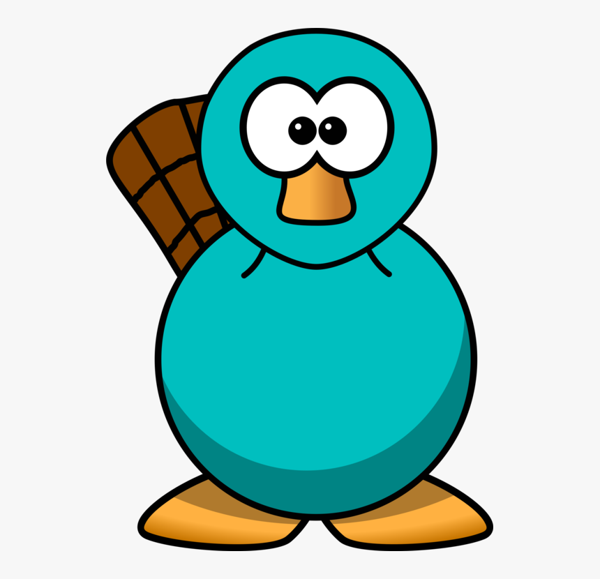 Perry The Platypus Cartoon Beaver Drawing - Cartoon Platypuses Clipart, HD Png Download, Free Download