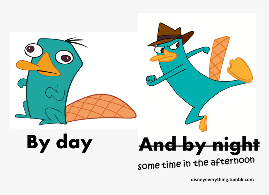 “ Follow For More Disney"s Phineas And Ferb Agent P/ - Draw Perry The Platypus Agent, HD Png Download, Free Download