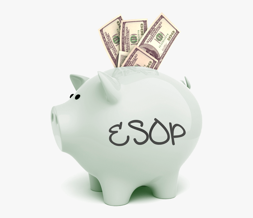 Transparent Save Money Png - Piggy Bank With Money, Png Download, Free Download