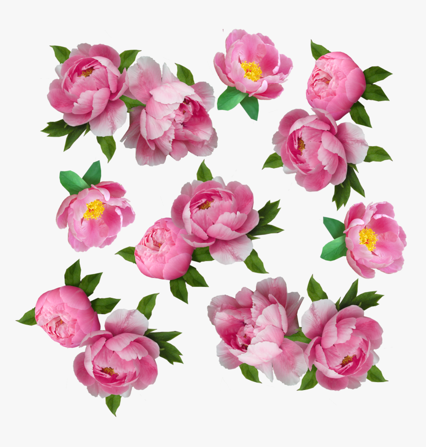 My Next Step Was To Make The Flowers Look More Like - Artificial Flower, HD Png Download, Free Download