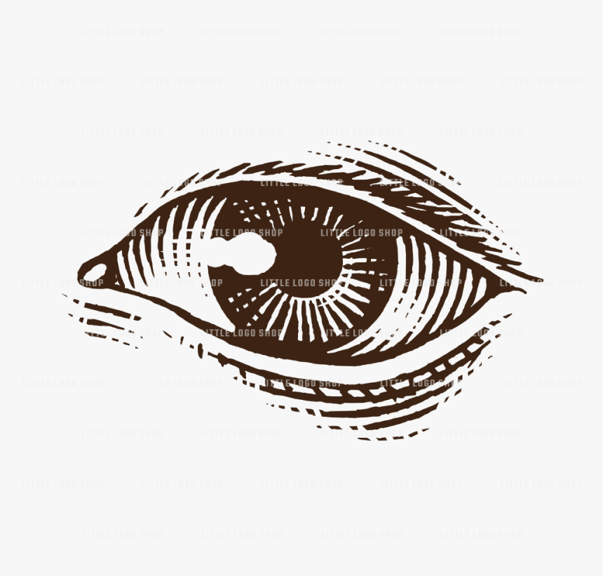 Eye Logo Png, Transparent Png, Free Download