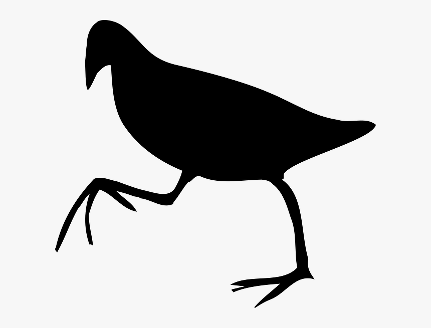 Beak Clip Art Bird Silhouette Line Art, HD Png Download, Free Download