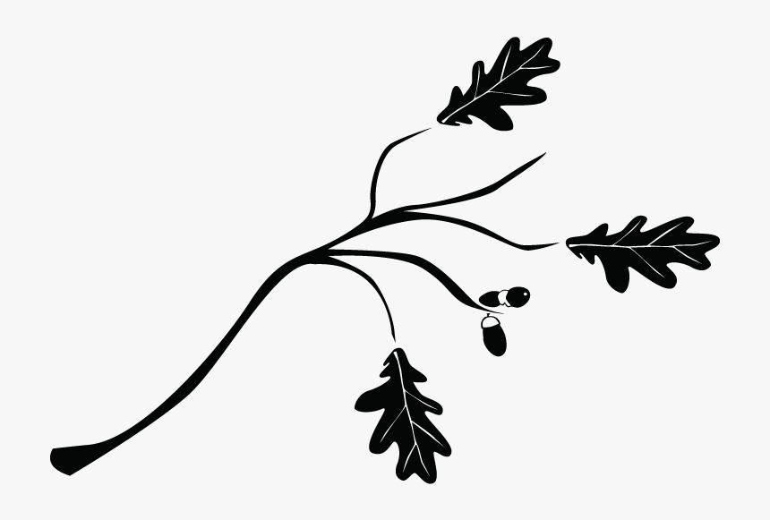 Ramas Arboles En Formato Png - Ramas De Arbol Dibujo Png, Transparent Png, Free Download