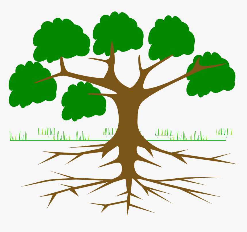 Emergency Medicine Foundations - Root Cause Tree Analysis, HD Png Download, Free Download