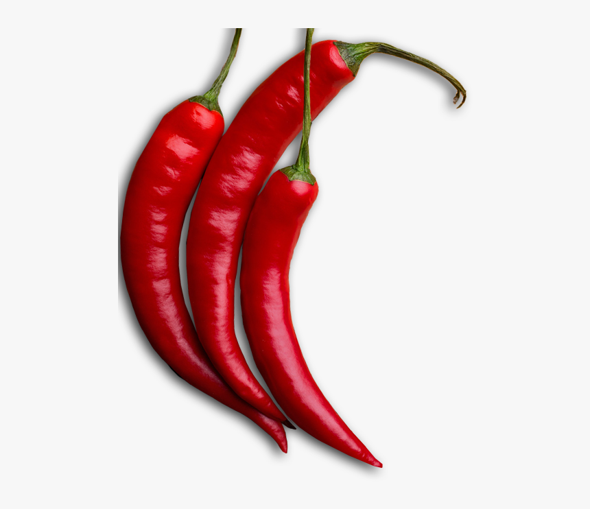 Transparent Chilis Logo Png - Chile De Arbol Png, Png Download, Free Download