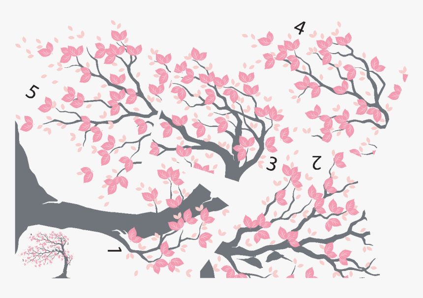 Cherry Blossom, HD Png Download, Free Download