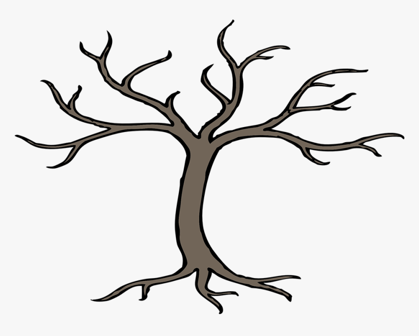 Árbol, Ramas, Desnudo, Raíz, Invierno, Forestales - Bare Tree Clip Art, HD Png Download, Free Download