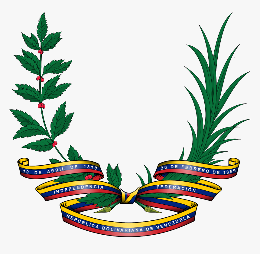 Transparent Ramas Png - Logo Embassy Of Venezuela, Png Download, Free Download