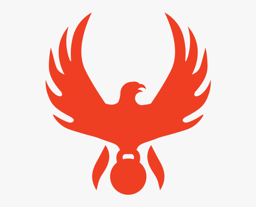 Transparent Phoenix Bird Png - Falconiformes, Png Download, Free Download