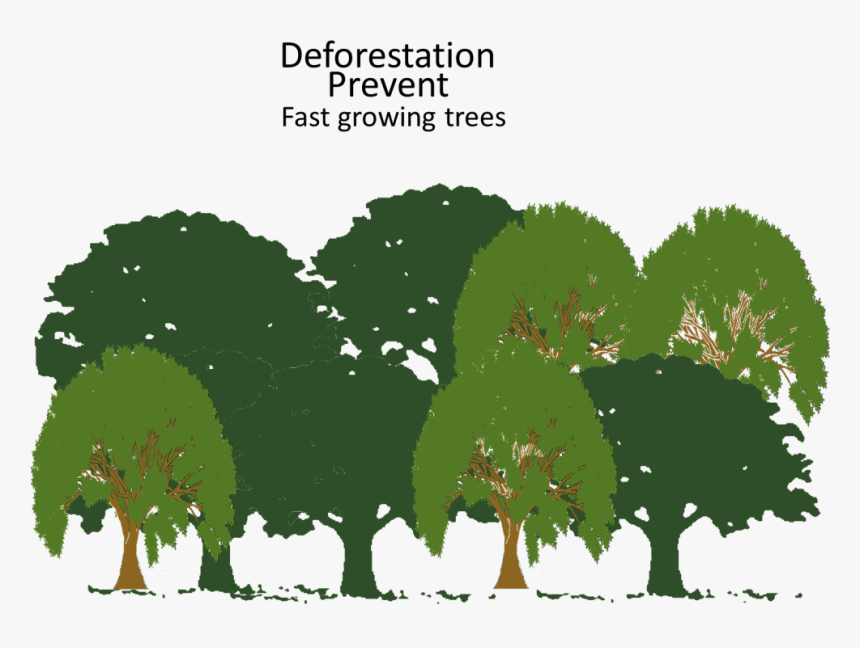 Transparent Deforestation Png - Elm, Png Download, Free Download