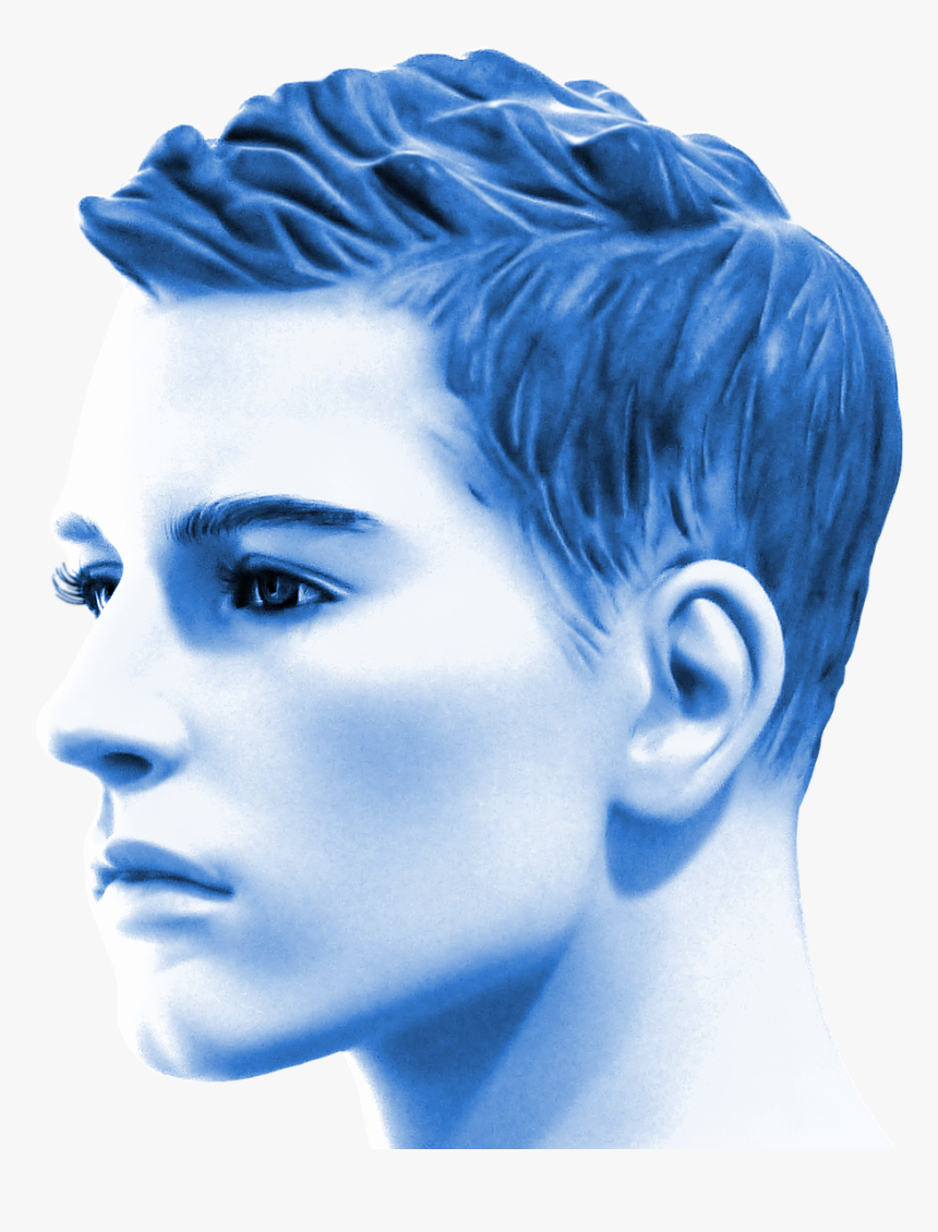Man, Portrait, Human, Face, Head, Male, Blue, Avatar - Transparent Human Avatar, HD Png Download, Free Download