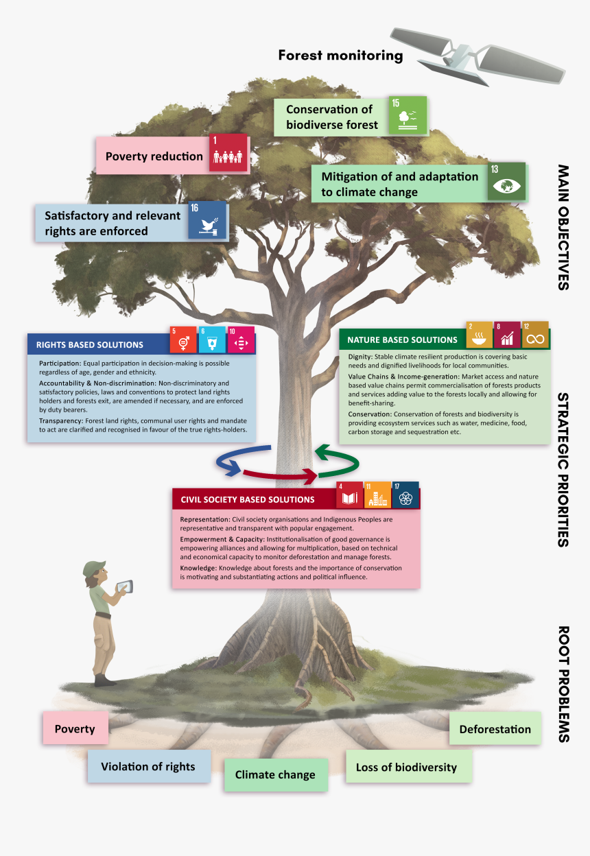 Bonsai, HD Png Download, Free Download