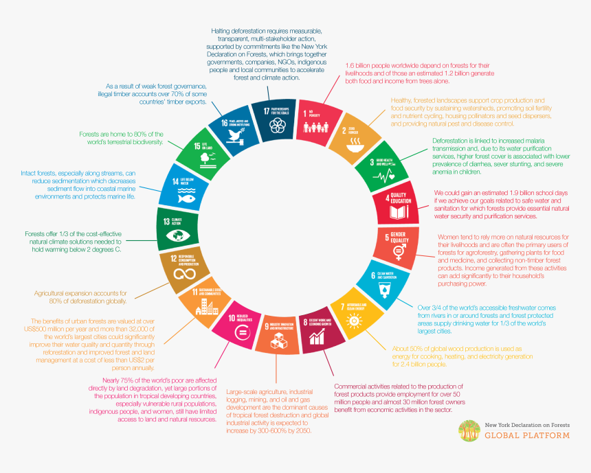 Sustainable Development Goals Vector, HD Png Download, Free Download