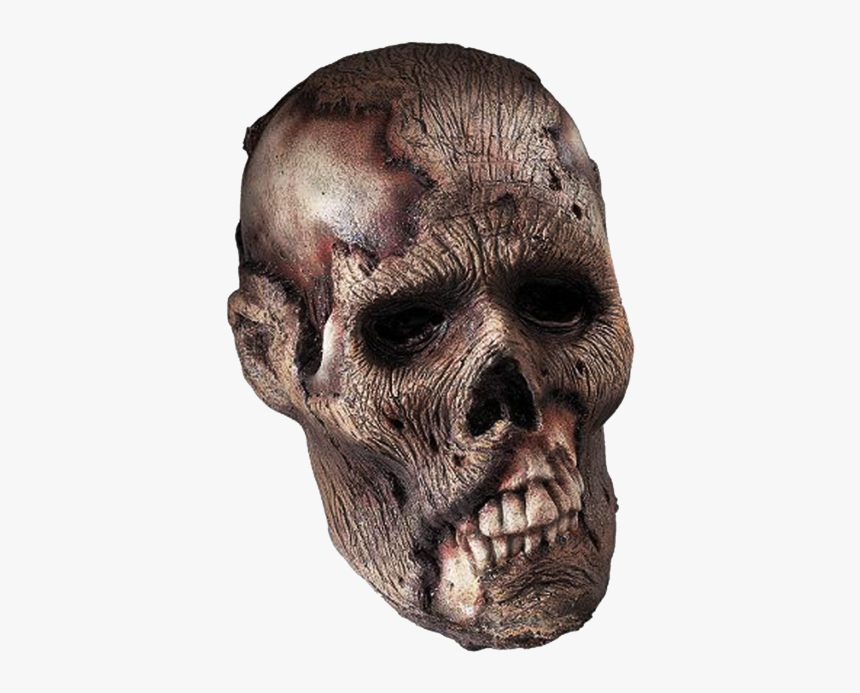 Head Png, Transparent Png, Free Download