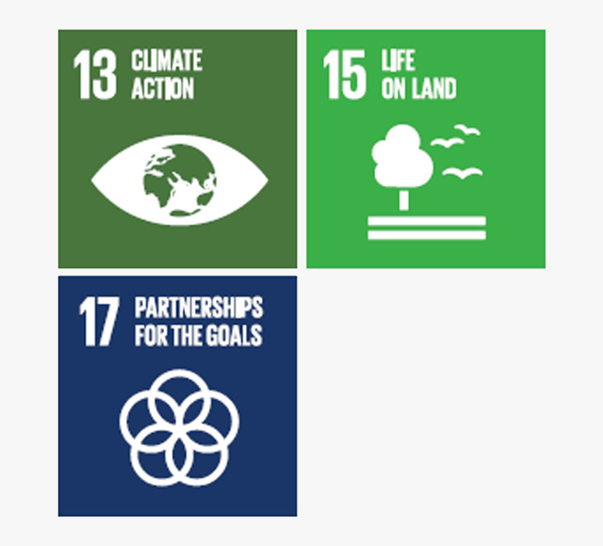 Deforestation Of High Carbon Stock Forests And Peat - 13 Sustainable Development Goals, HD Png Download, Free Download