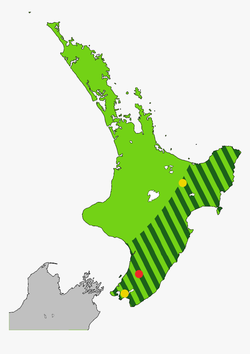 Heteralocha Acutirostris Distribution - New Zealand Forest Map, HD Png Download, Free Download