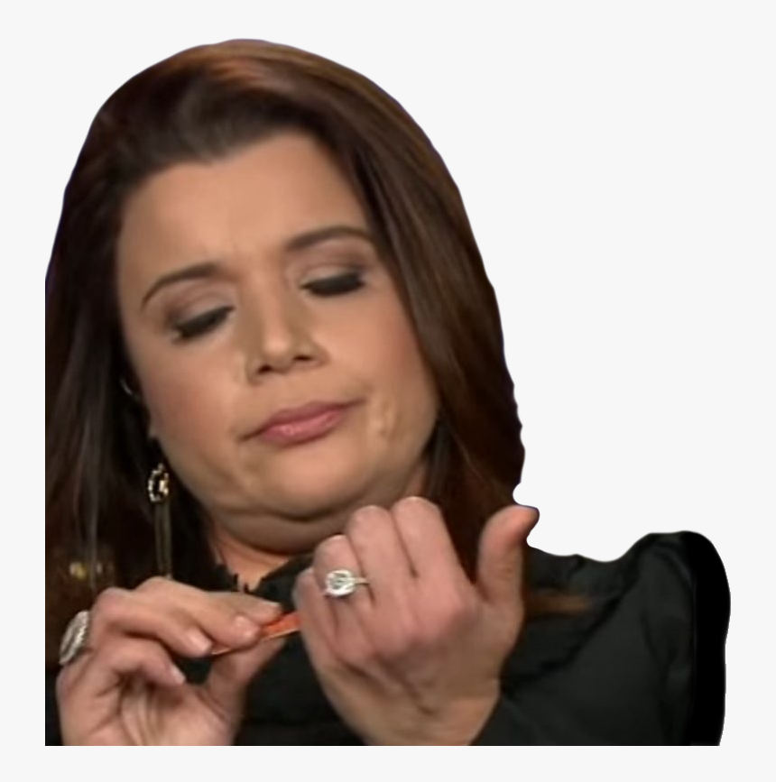 Transparent Bolsonaro Png - Ana Navarro Meme, Png Download, Free Download