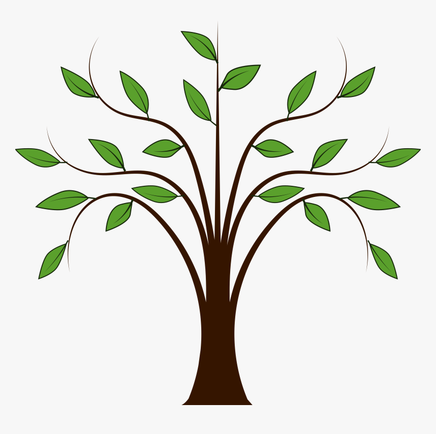 Transparent Spring Clipart - Tree Drawing With Leaves, HD Png Download, Free Download