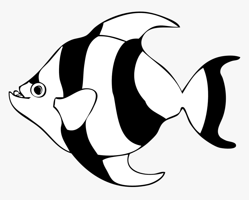 Angel Fish Transparent Download Black And White Rr - Fish Clipart Black And White, HD Png Download, Free Download