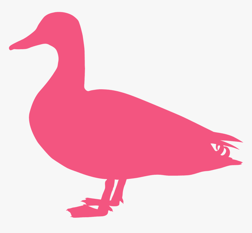 Canard Silhouette, HD Png Download, Free Download