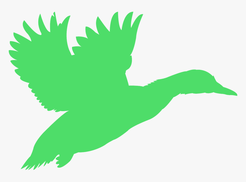 Flying Duck Silhouette, HD Png Download, Free Download