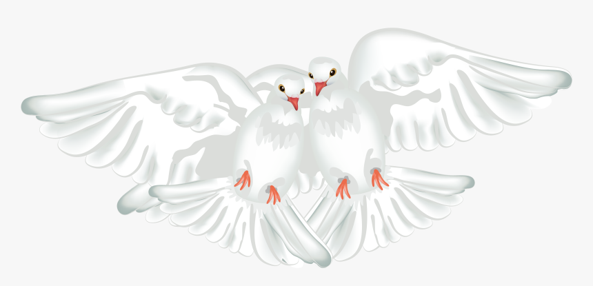 Peace Pigeon Png - Clipart White Doves Transparent, Png Download, Free Download