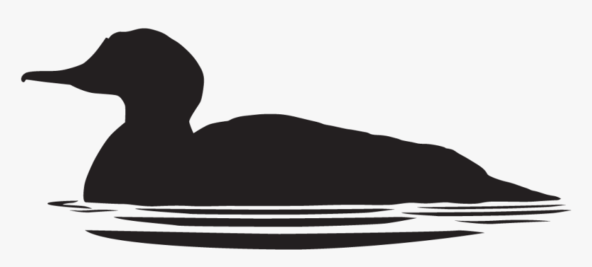 Duck In Water Silhouette, HD Png Download, Free Download