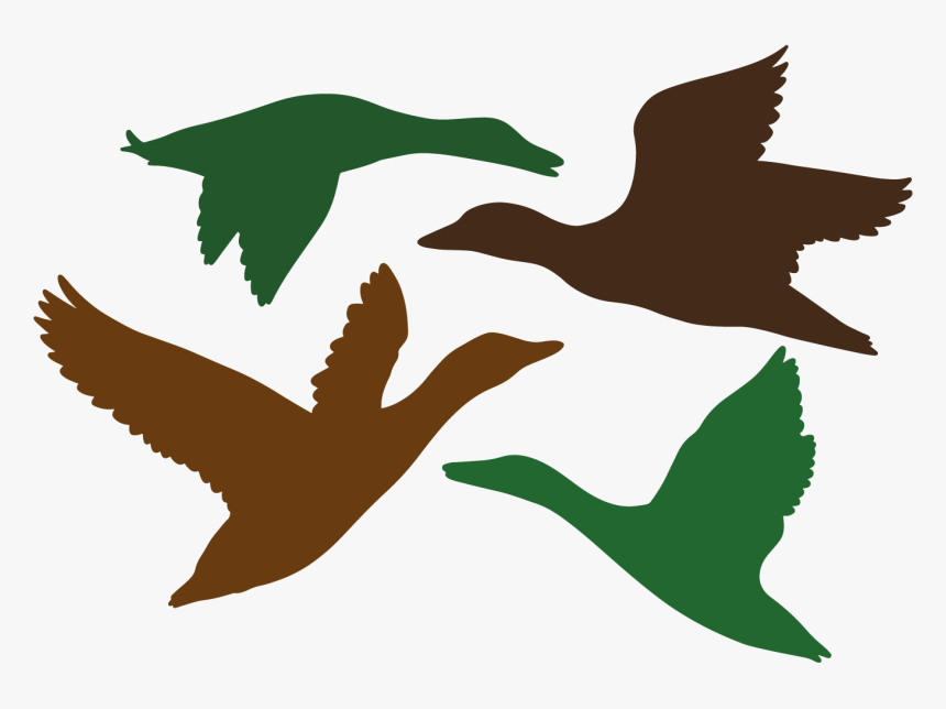 Duck Silhouette, Silhouette Images, Silhouette Files, - Flock, HD Png Download, Free Download