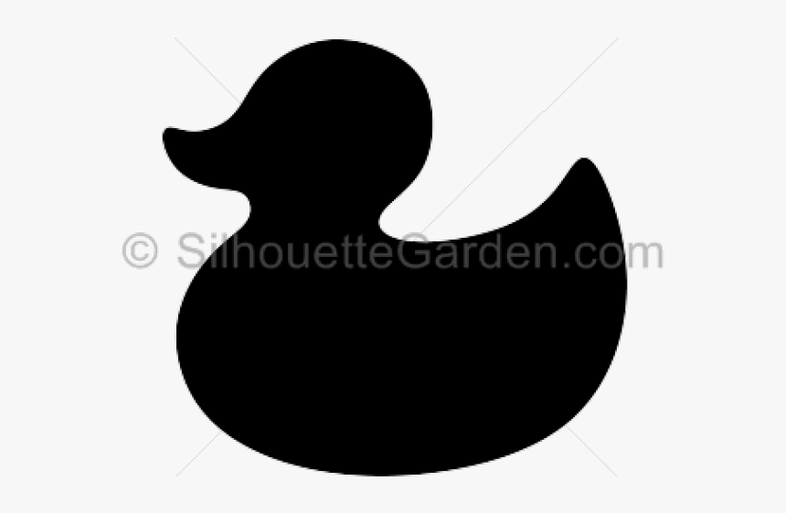 Duck, HD Png Download, Free Download