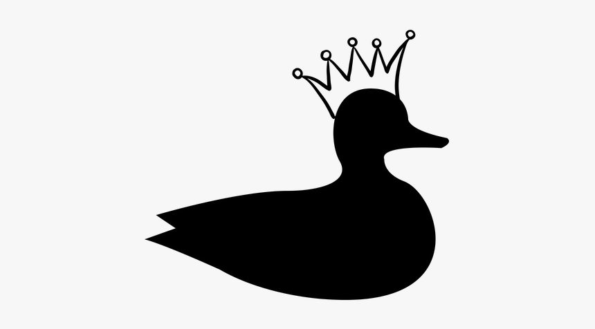 Duck, HD Png Download, Free Download