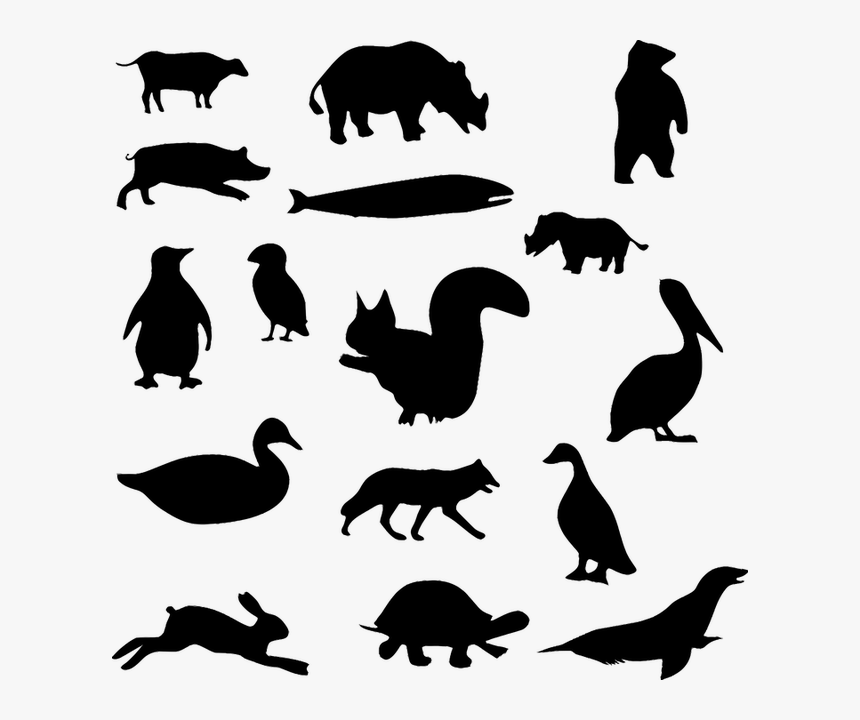 Animal, Bear, Cow, Duck, Goose, Pelican, Pig, Rabbit - Animal Black And White Png, Transparent Png, Free Download
