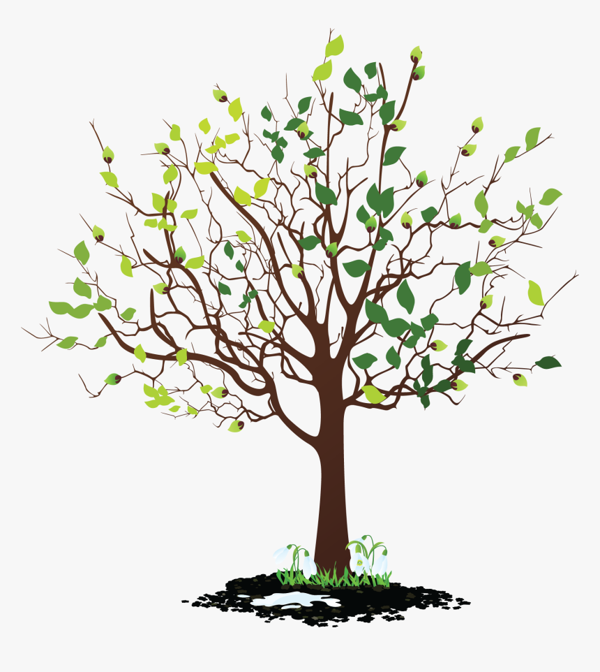 Mustard Tree Clip Art, HD Png Download, Free Download