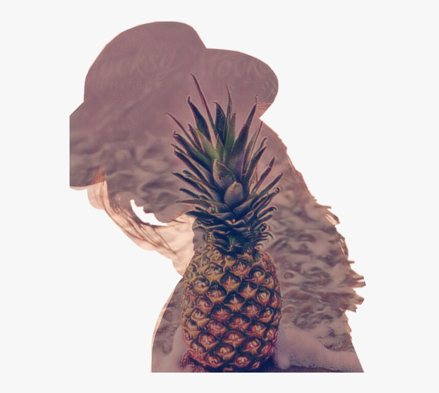#silhouette #pineapple #tropical #summer #sticker
#sctropical - Pineapple On Beach, HD Png Download, Free Download