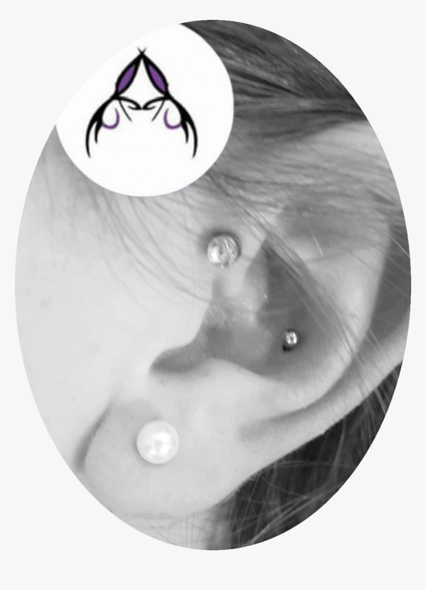 Forward Helix & Conch - Circle, HD Png Download, Free Download