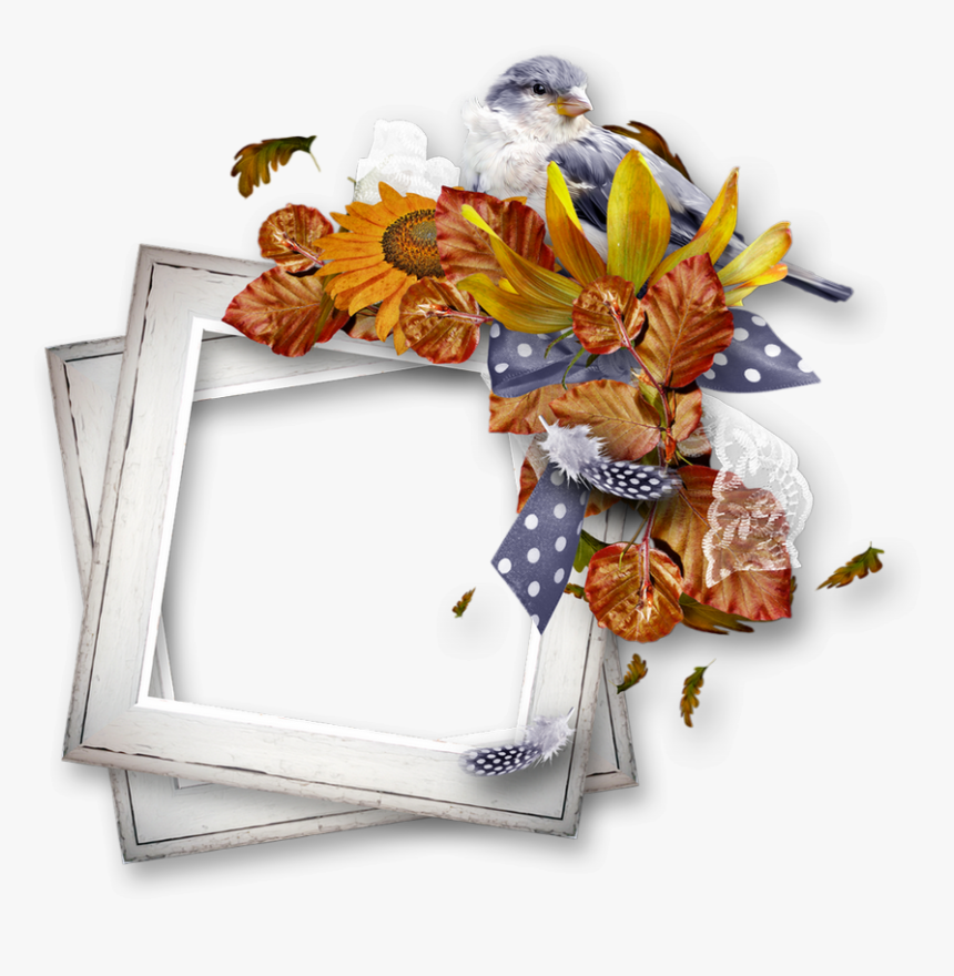 Cadre Automne Png - Picture Frame, Transparent Png, Free Download