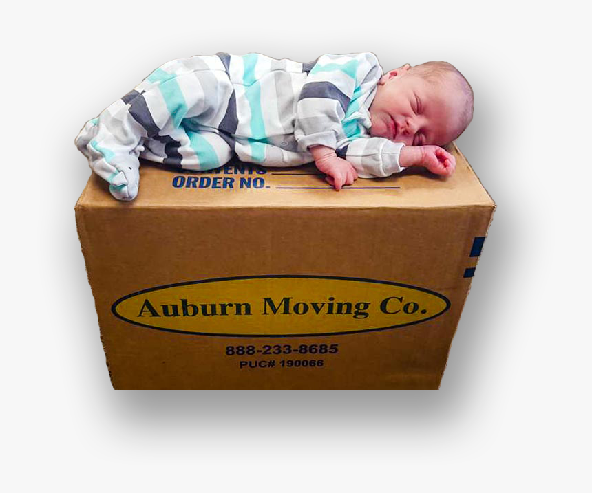 Baby Sleeping On Roseville Moving Company Box - Baby, HD Png Download, Free Download