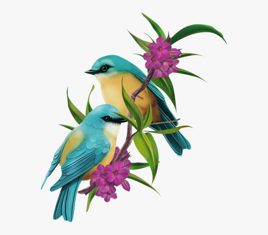 Pájaros 8 Png - Wednesday Blessings Birds, Transparent Png, Free Download