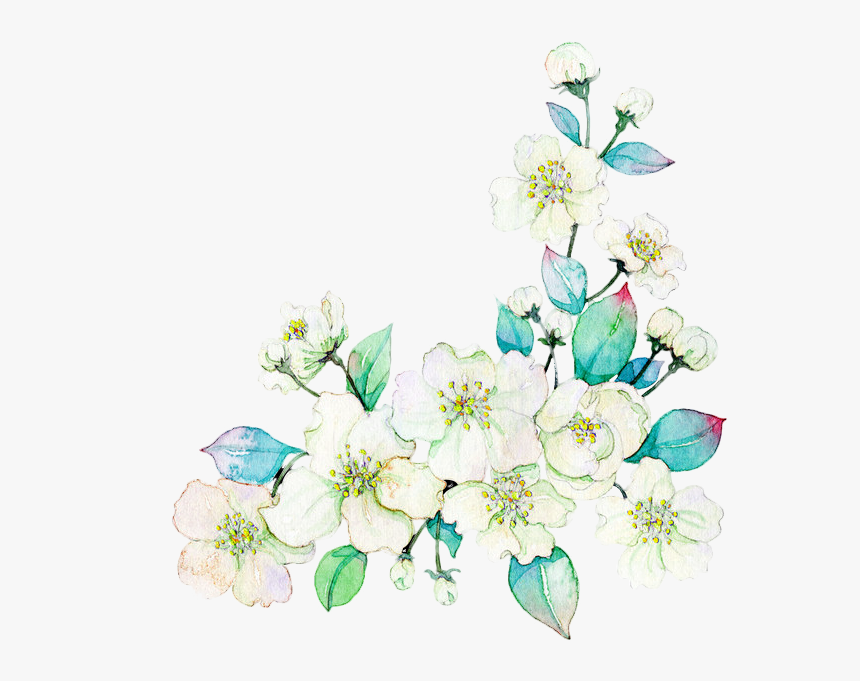 Gardenia Vector Watercolor - Flowering Dogwood, HD Png Download, Free Download