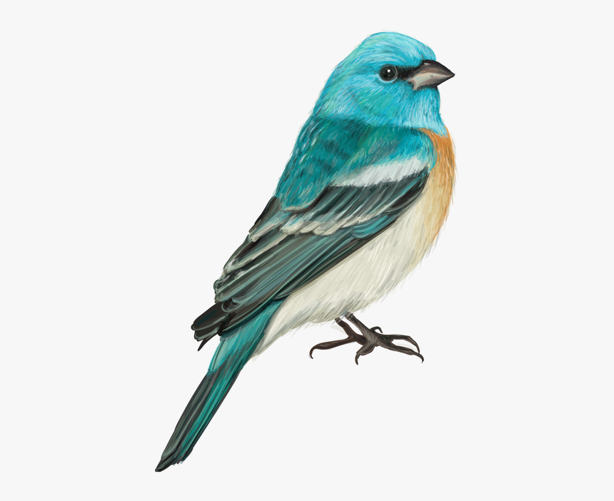 Birdlover Quotes, HD Png Download, Free Download