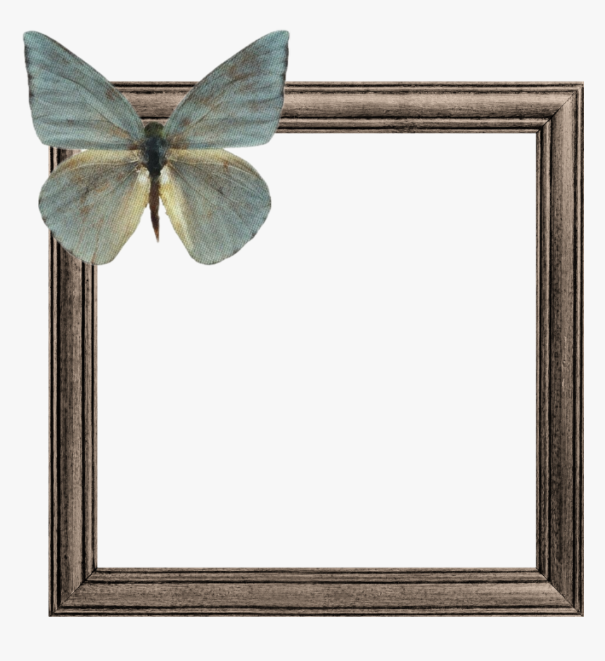 #wooden #frame #frames #butterfly #brown #green #border - Picture Frame, HD Png Download, Free Download