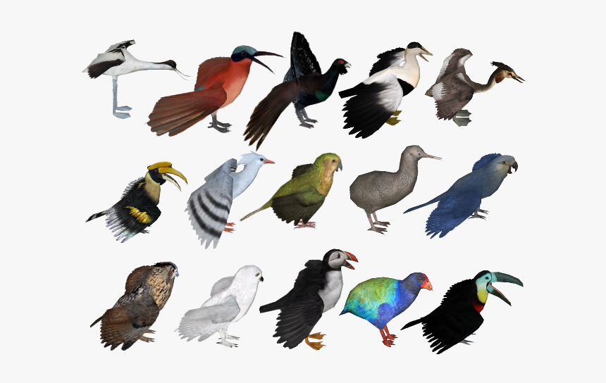 Aves Icon - Flock, HD Png Download, Free Download