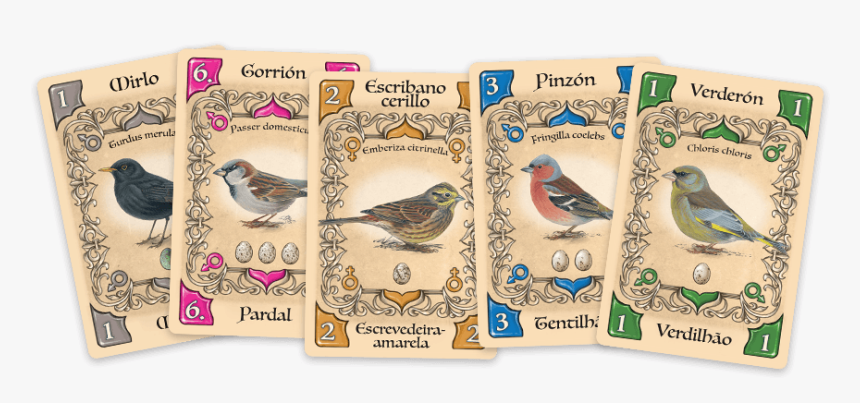 Pajaros Cantores Juego De Mesa, HD Png Download, Free Download