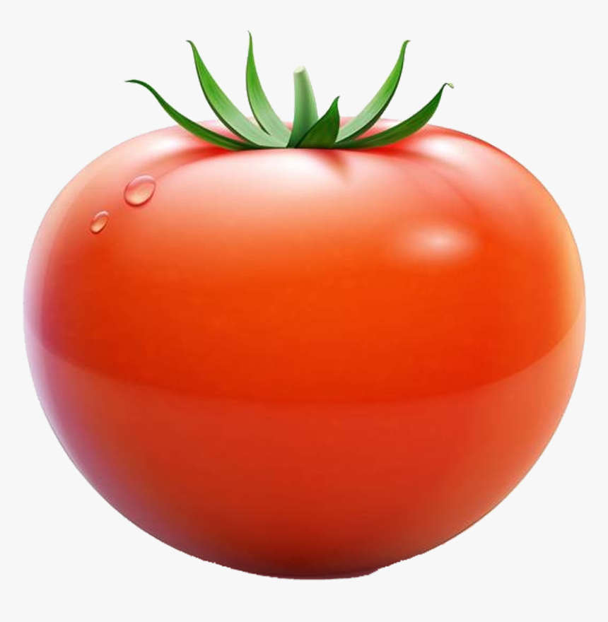 Plum Tomato Cherry Tomato Euclidean Vector - Tomato Png Vector, Transparent Png, Free Download